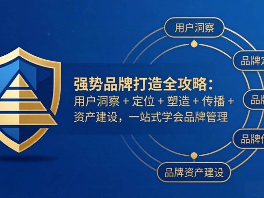 强势品牌打造全攻略：用户洞察 + 定位 + 塑造 + 传播 + 资产建设，一站式学会品牌管理