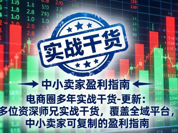 电商圈多年实战干货-更新4月：多位资深师兄实战干货，覆盖全域平台，中小卖家可复制的盈利指南